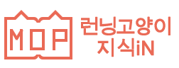 런닝고양이 지식iN