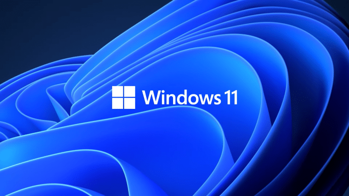 Windows 11 logo