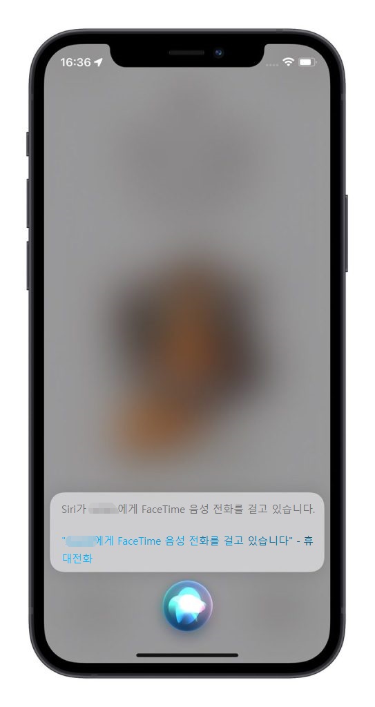 "Siri"를 사용하여 FaceTime 음성 또는 영상 통화 시작