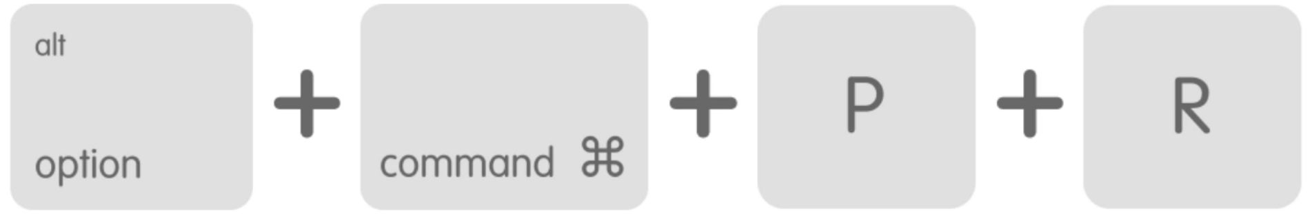 mac Option+ Command+ P+R